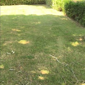 Meet your Posher, Tracey